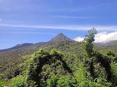 Adam's Peak