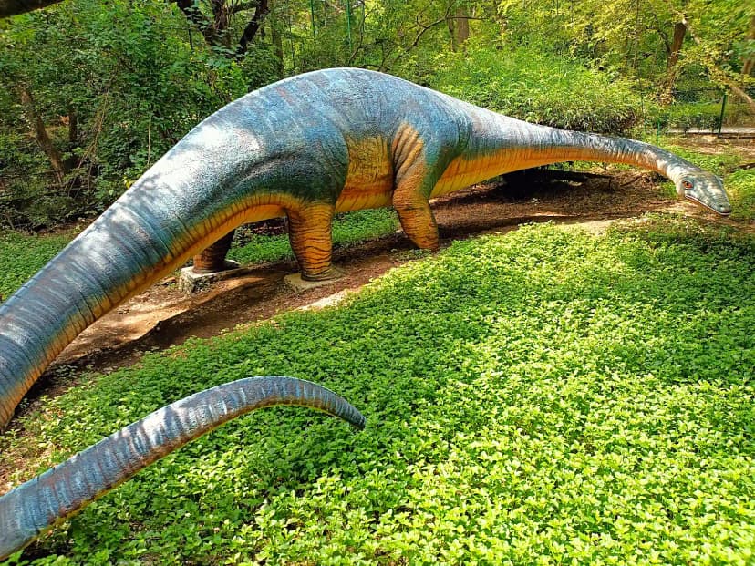 Allen Forest Zoo