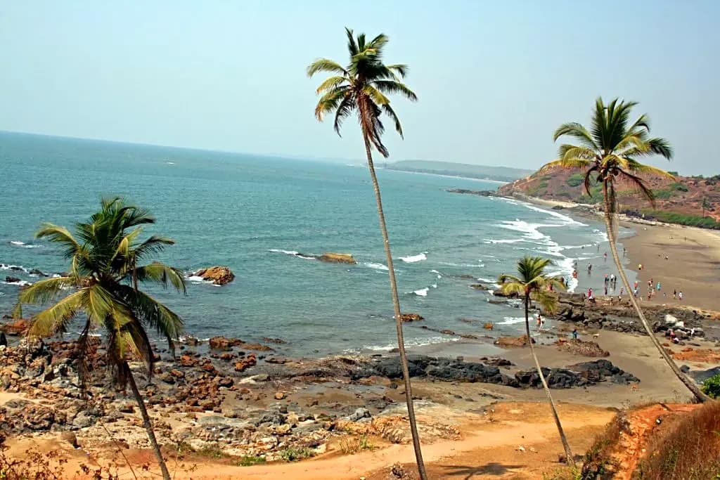 Anjuna beach in Goa with sand and palm trees under a clear sky