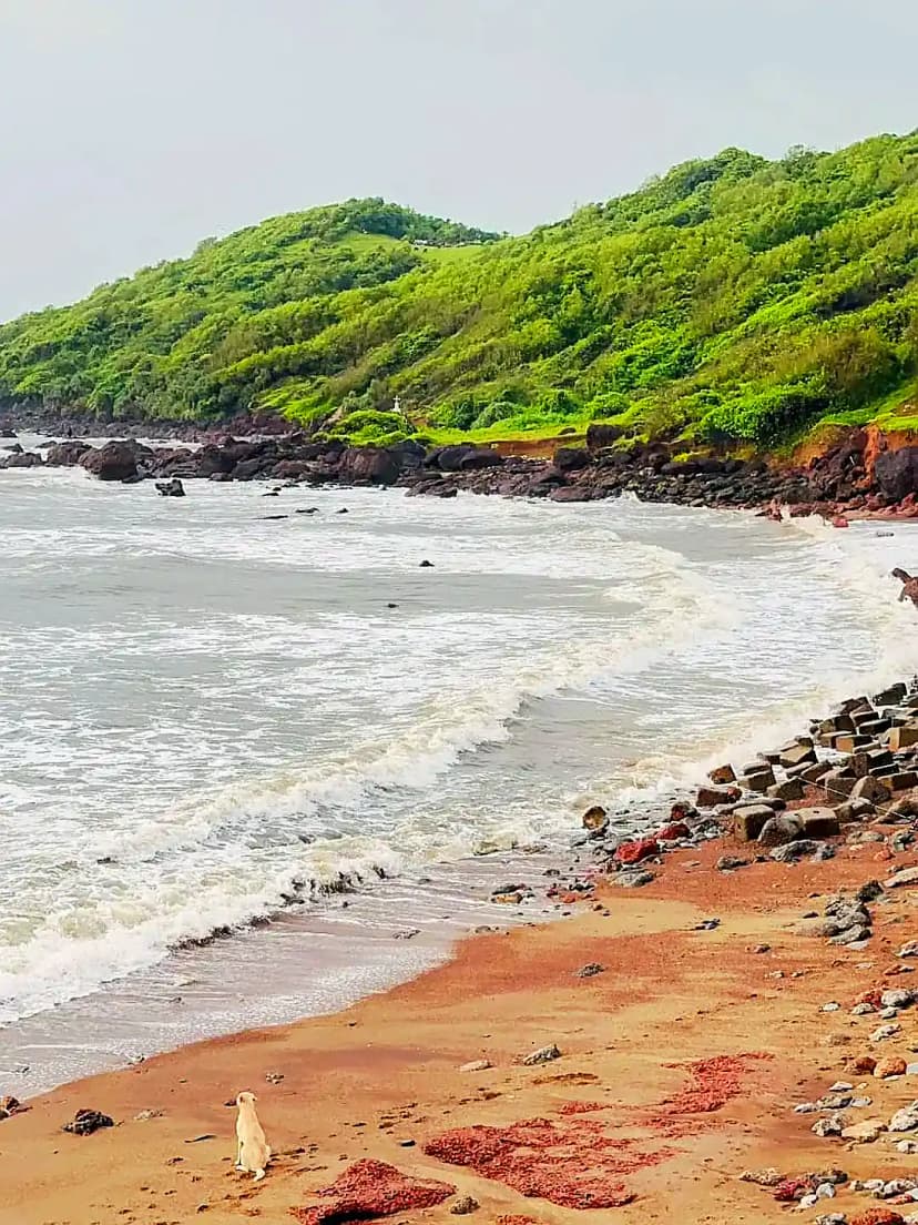 Anjuna Beach