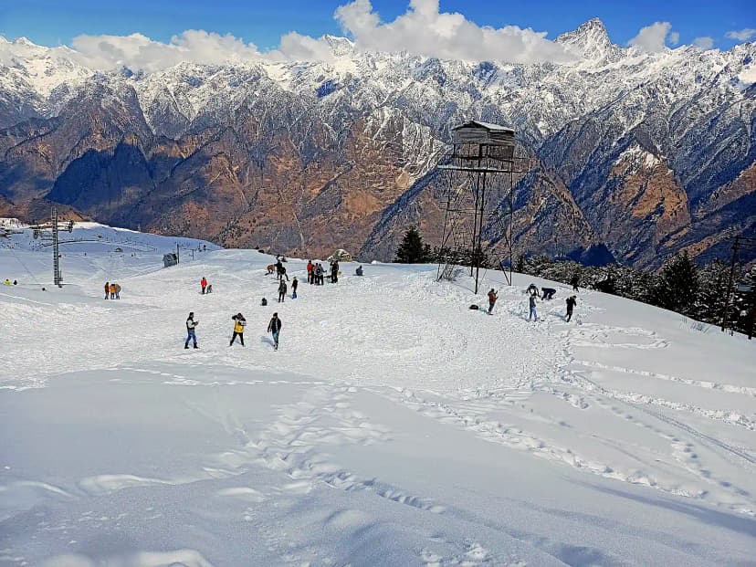 Auli