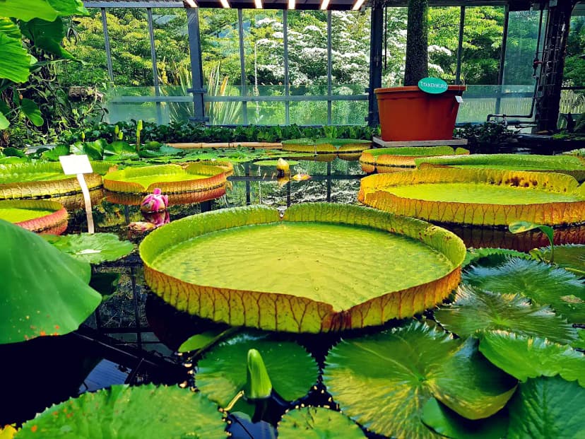 Botanical Gardens