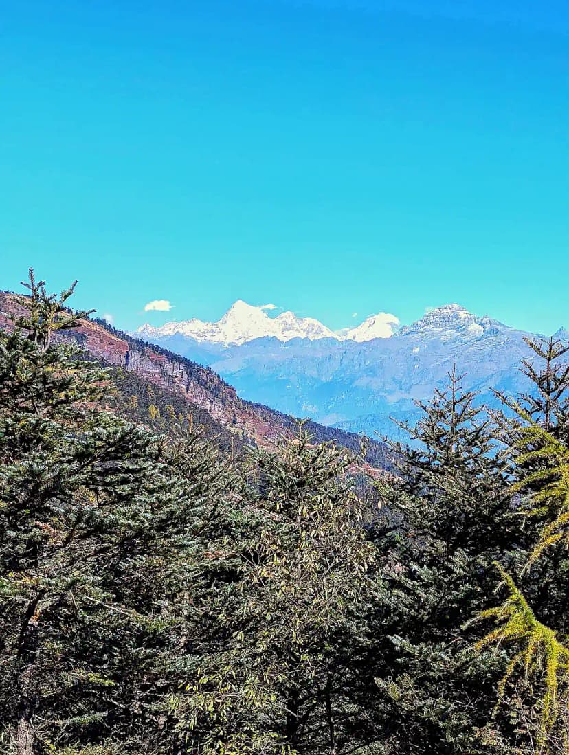 Chomolhari Trek