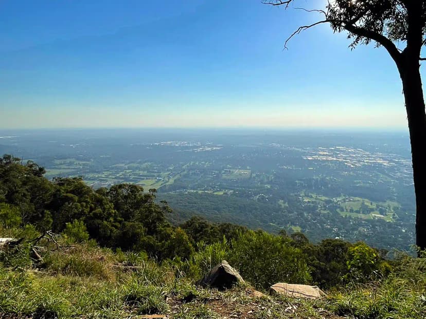 Dandenong Ranges