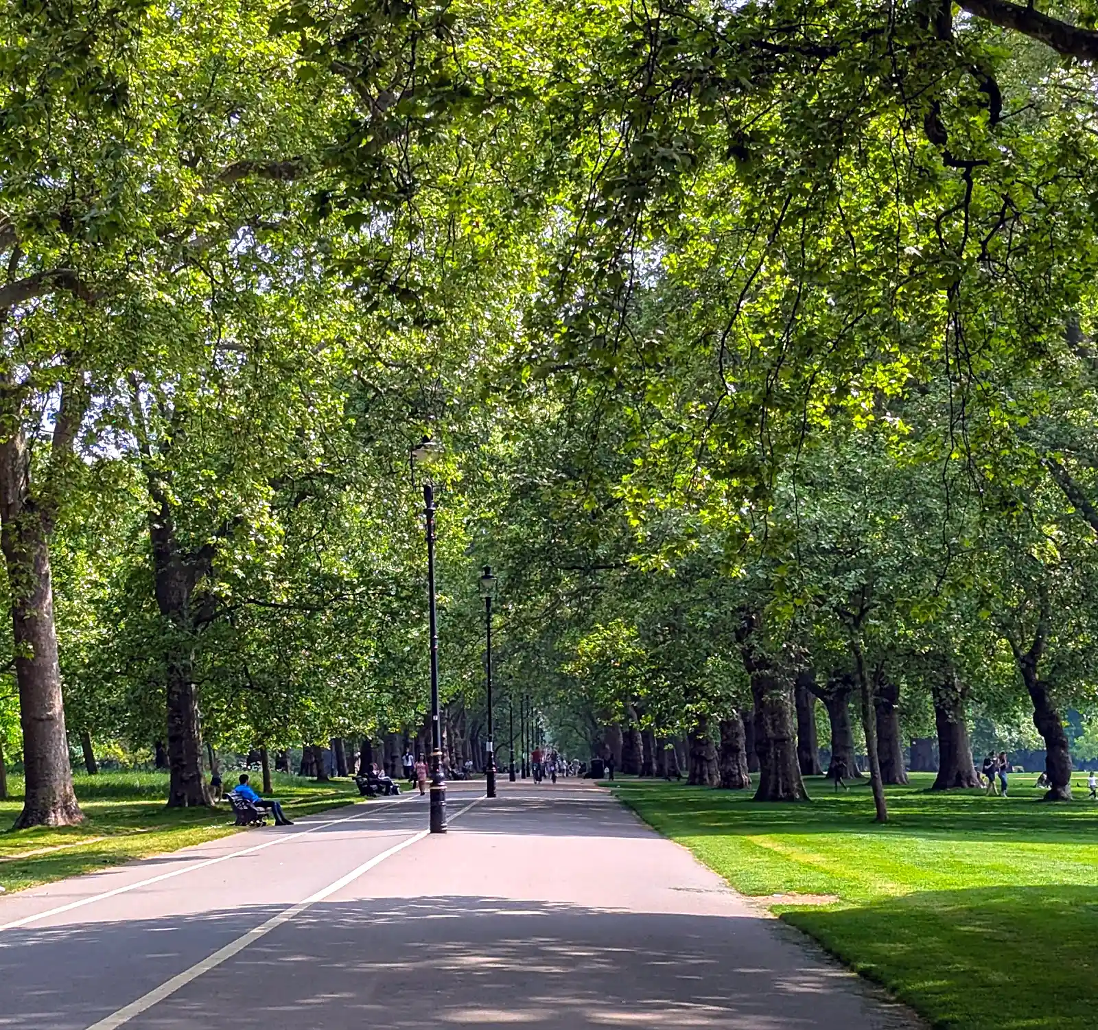 Hyde Park pathway, a quieter local green space near central London