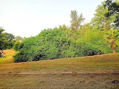 Leisure Valley