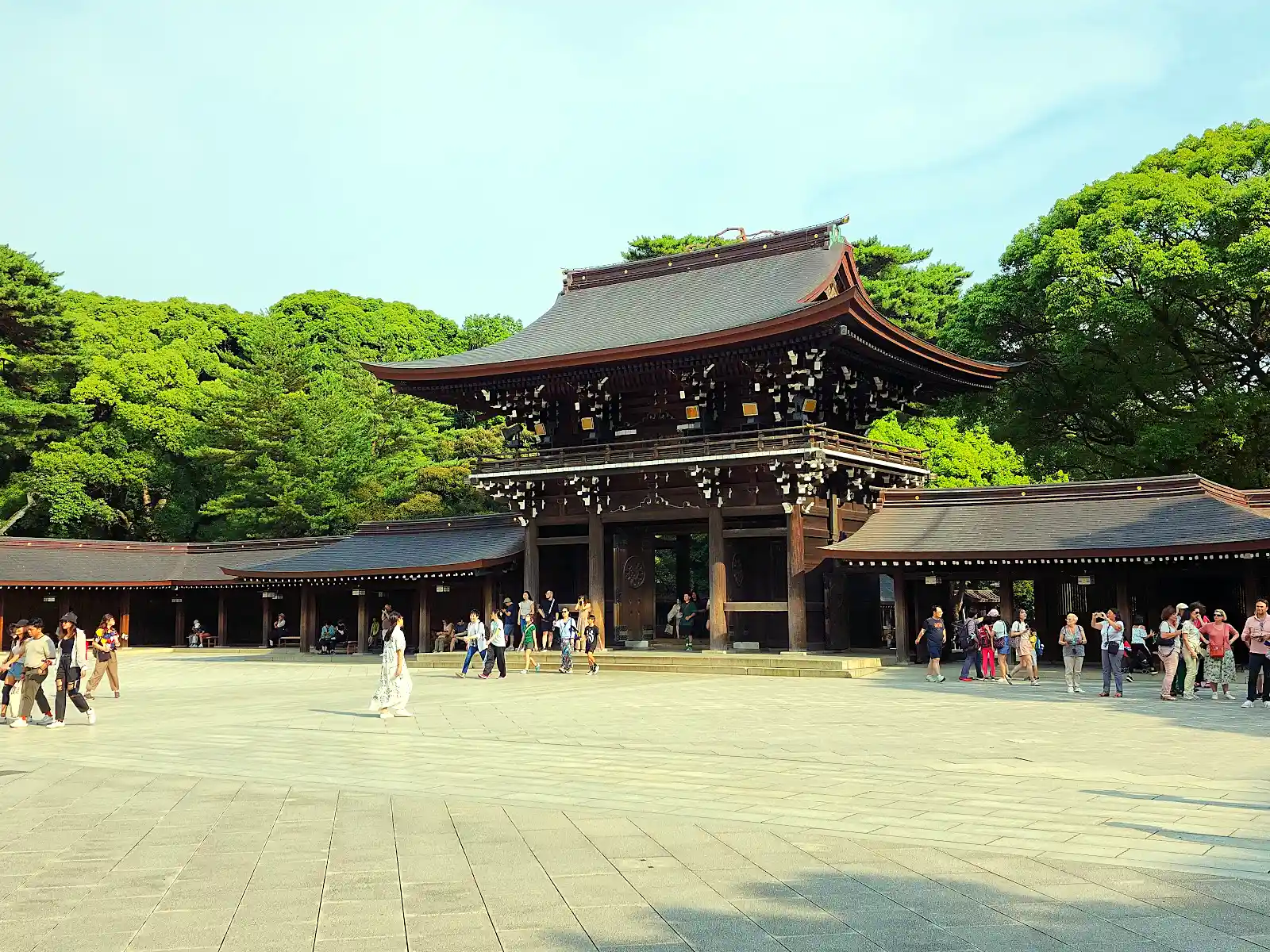 forested path leading to the wooden torii gate of Meiji Shrine in Tokyo Japan