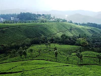 Munnar