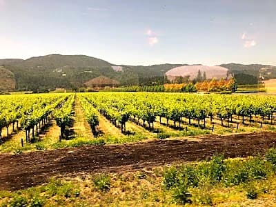 Napa Valley
