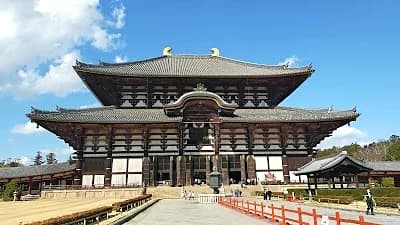 deer roaming freely near a temple in Nara Park, a quiet day trip locals recommend from Kyoto