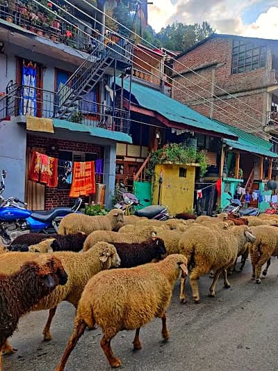 Old Manali