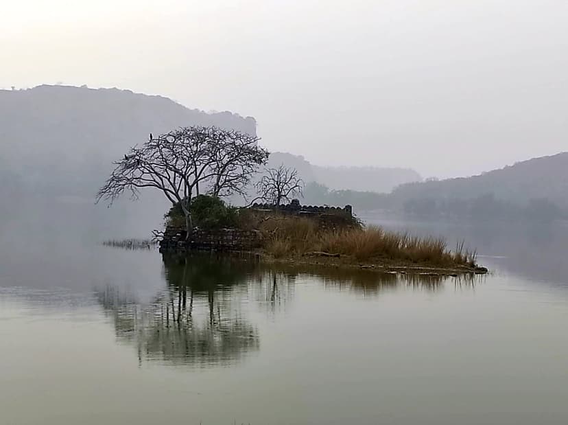 Padam Talab