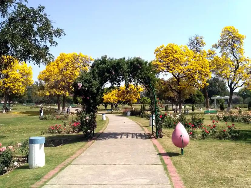 Rose Garden