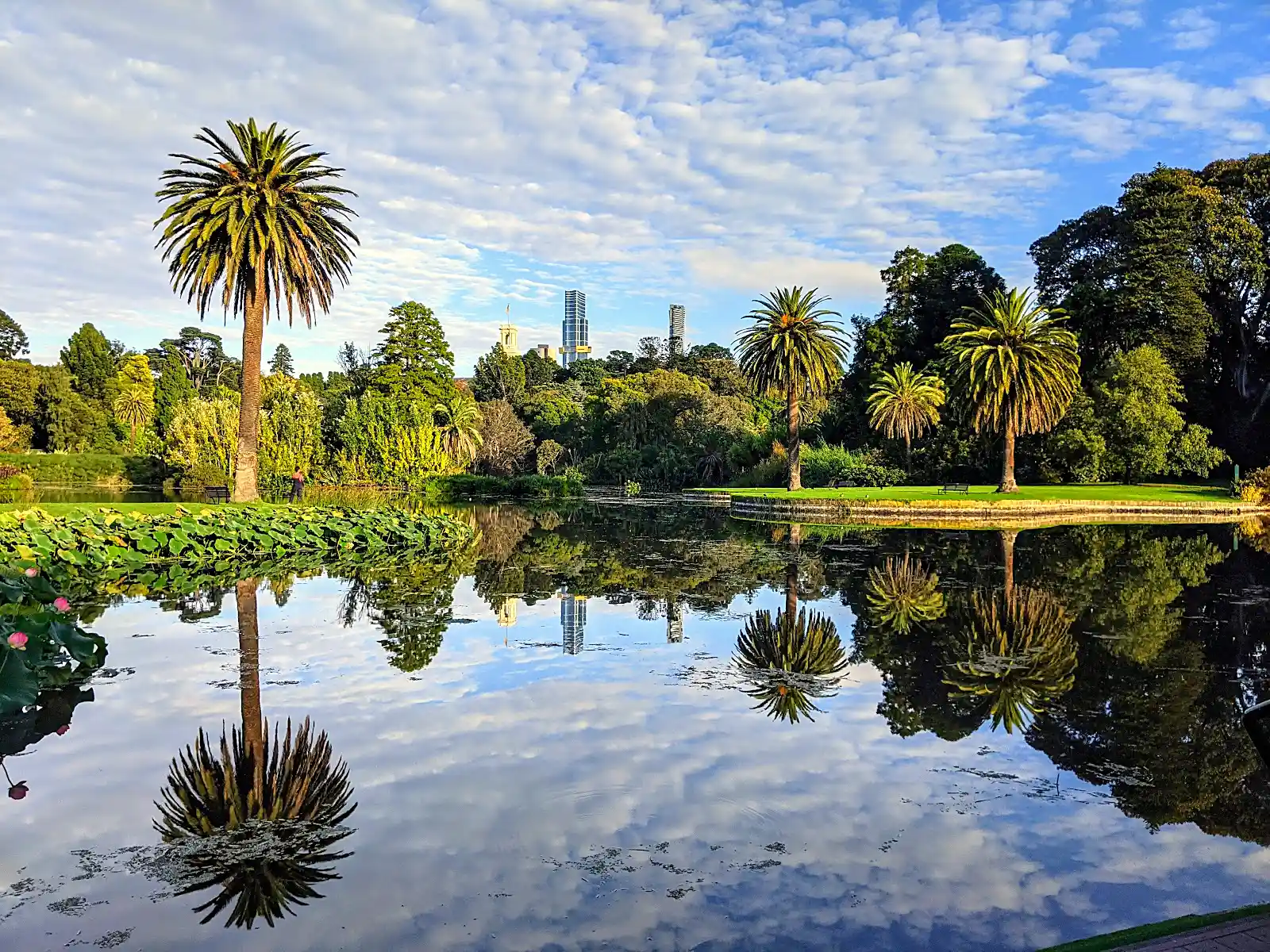 Green lawns and tree-lined paths through Melbourne's Royal Botanic Gardens near the CBD