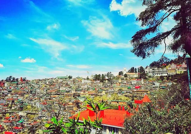 Shimla