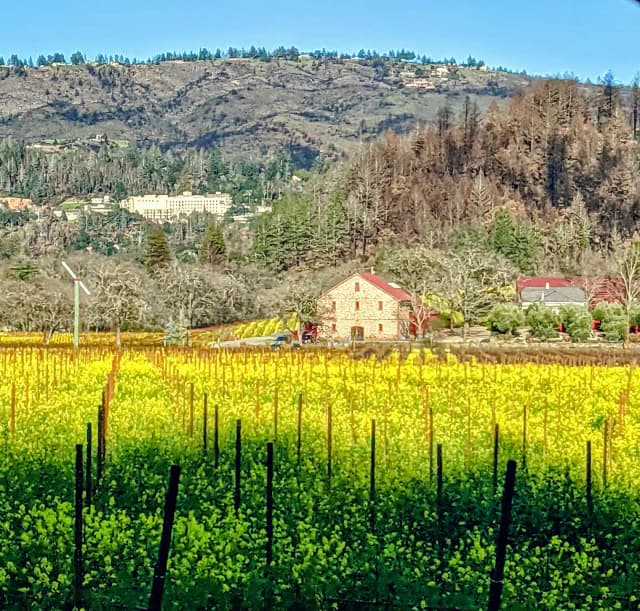 St. Helena