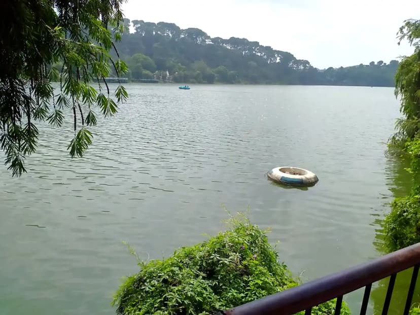 Surinsar Lake