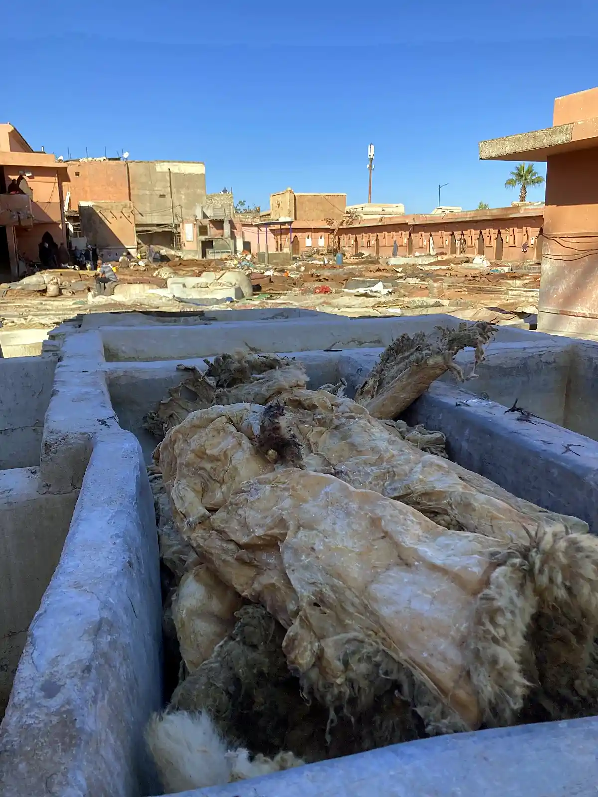 Tanneries