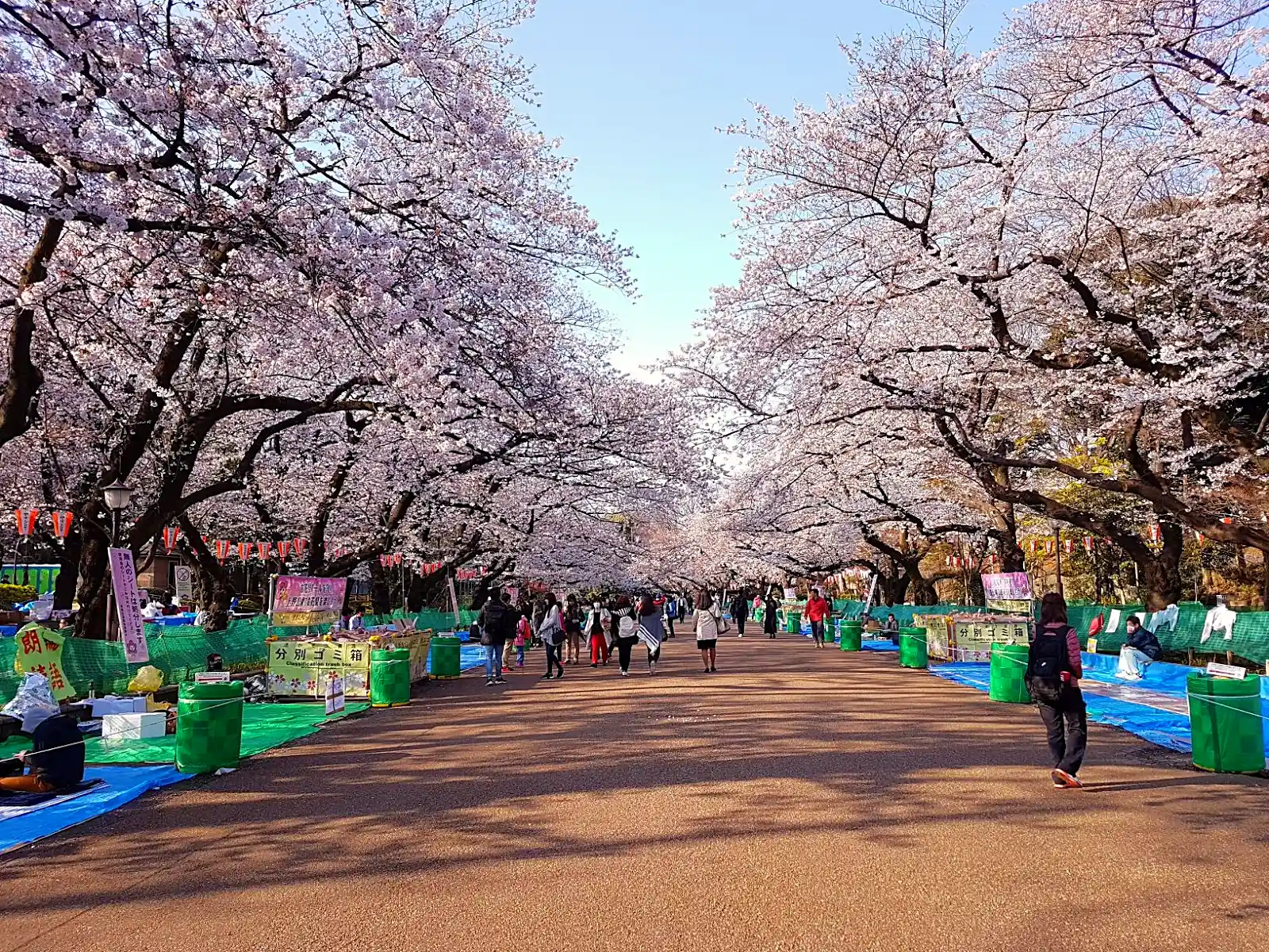 Ueno Park in Tokyo, a short train ride from Shinjuku, where the buses out to Fuji depart