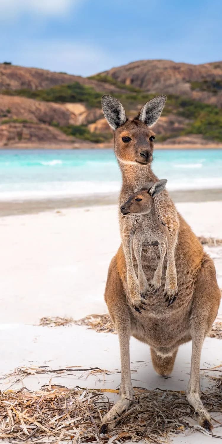 Australia