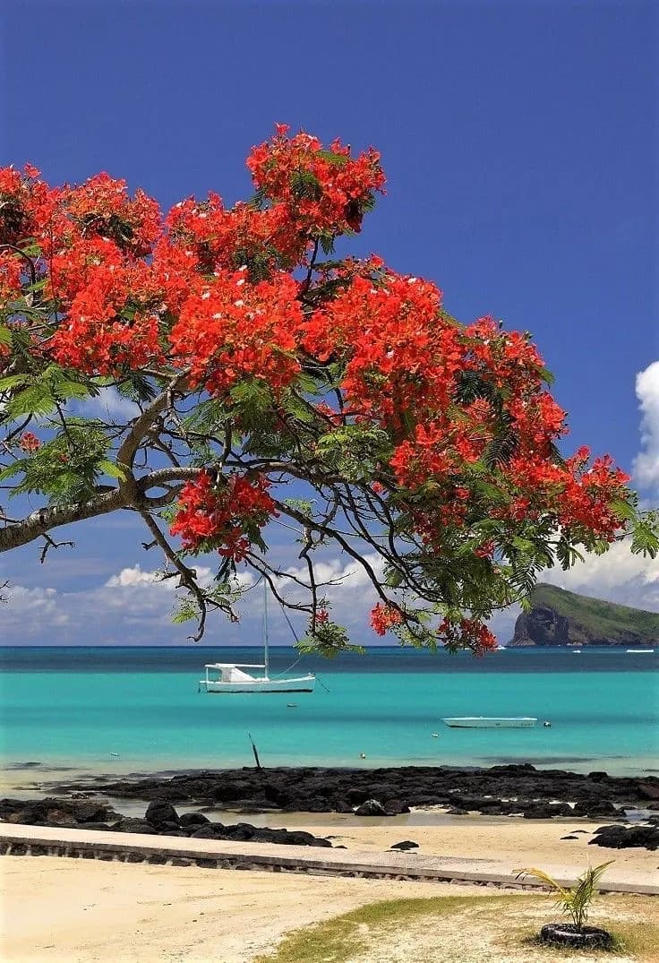 Mauritius