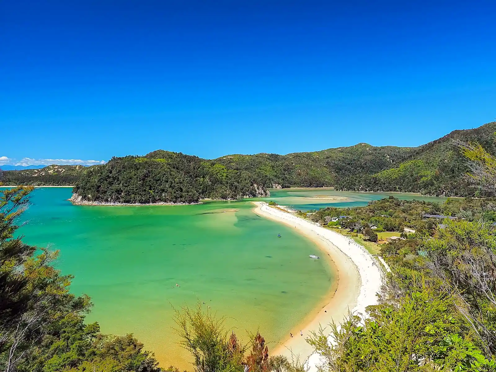 golden sand coastline in Abel Tasman National Park New Zealand