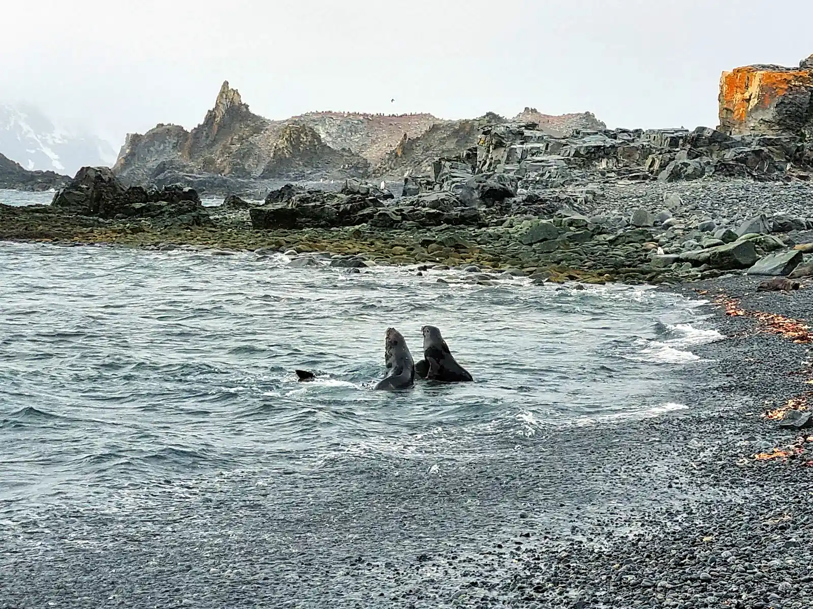 Ice-covered mountains and calm water along the Antarctic Peninsula on an expedition trip
