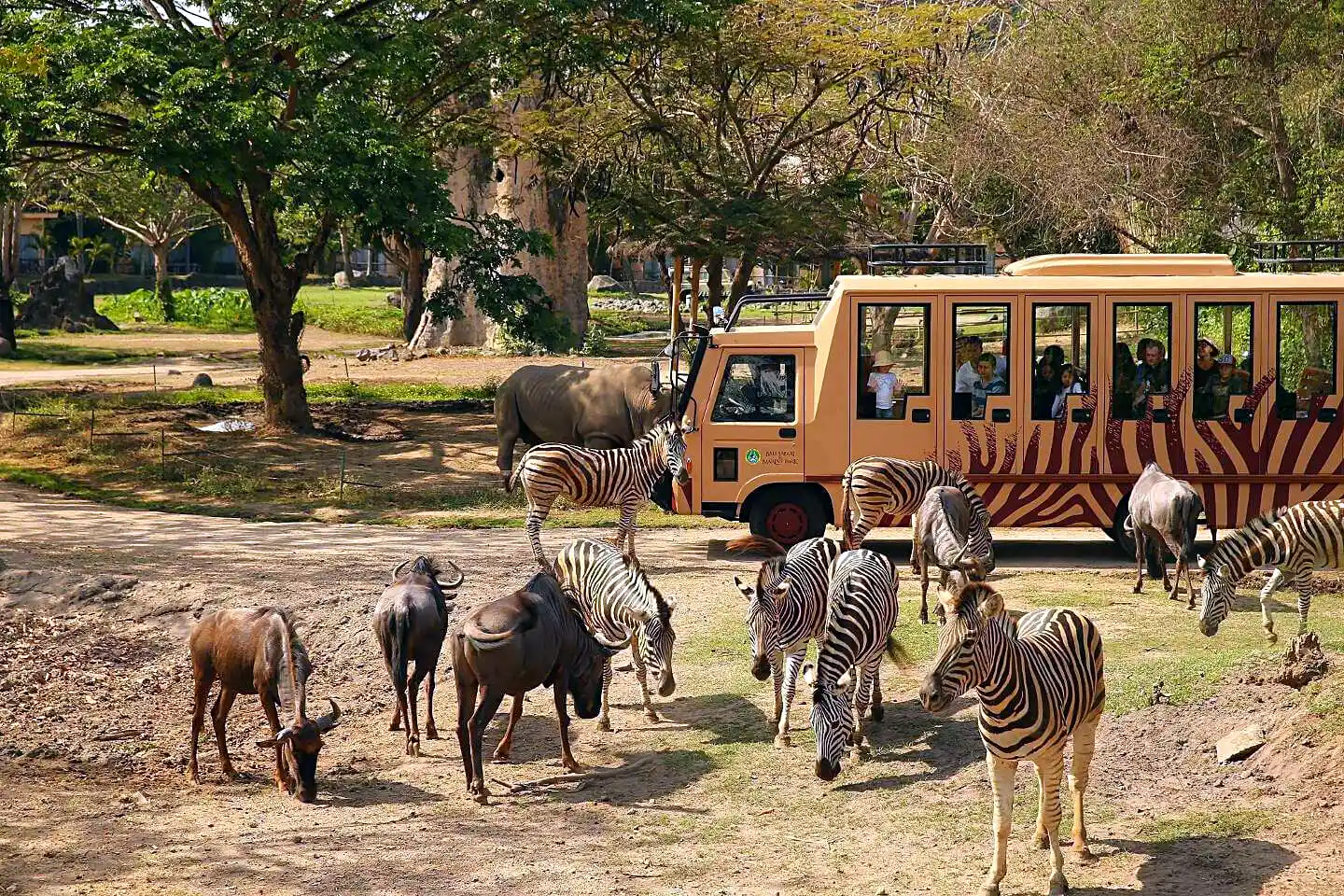 visitors at Bali Safari park, an adventure activity that may fall outside standard travel insurance cover