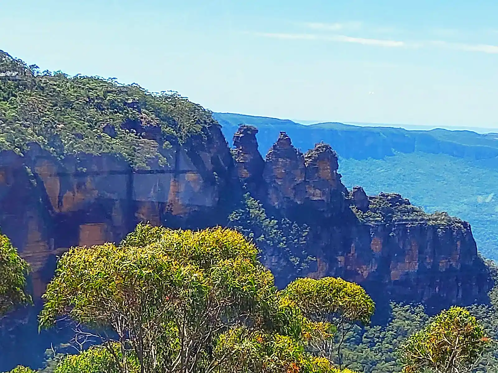 Walking trail through eucalyptus forest in the Blue Mountains outside Sydney