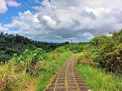 Campuhan Ridge Walk green hillside path through Ubud Bali