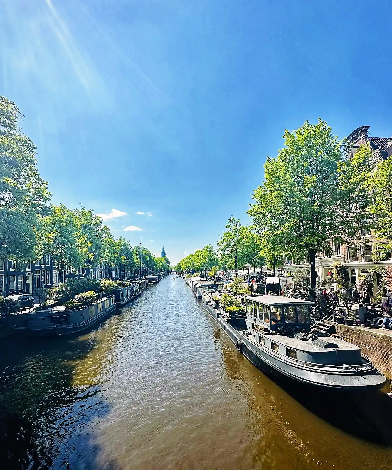 Amsterdam canal ring lined with houseboats, the classic base for any netherlands itinerary