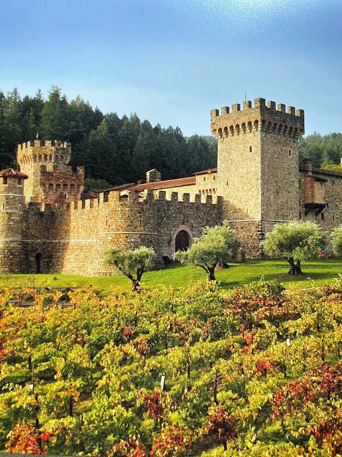 Napa Valley travel