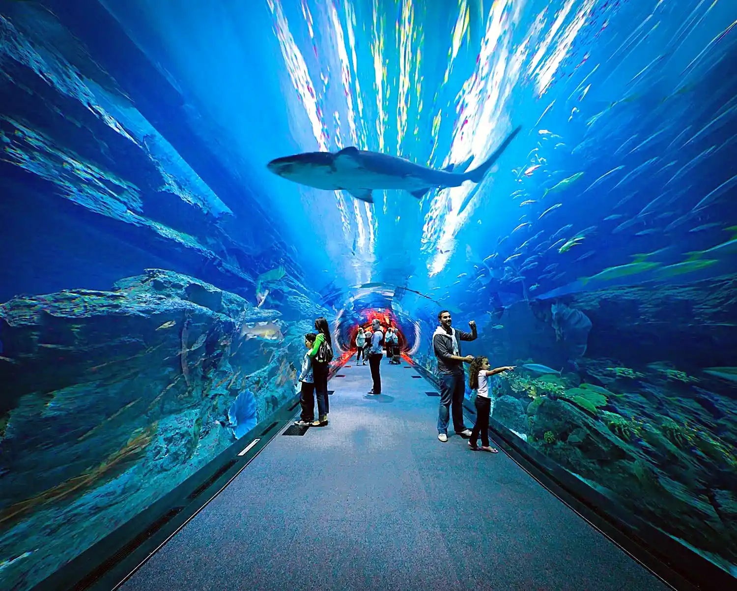 Large aquarium tank inside Dubai Mall with fish and visitors