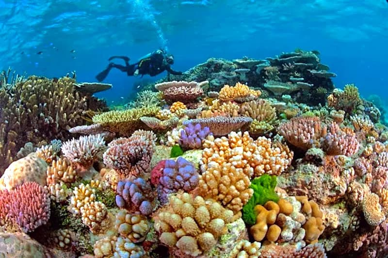 Great Barrier Reef aerial view, the destination behind Australia's 2026 arrival card update