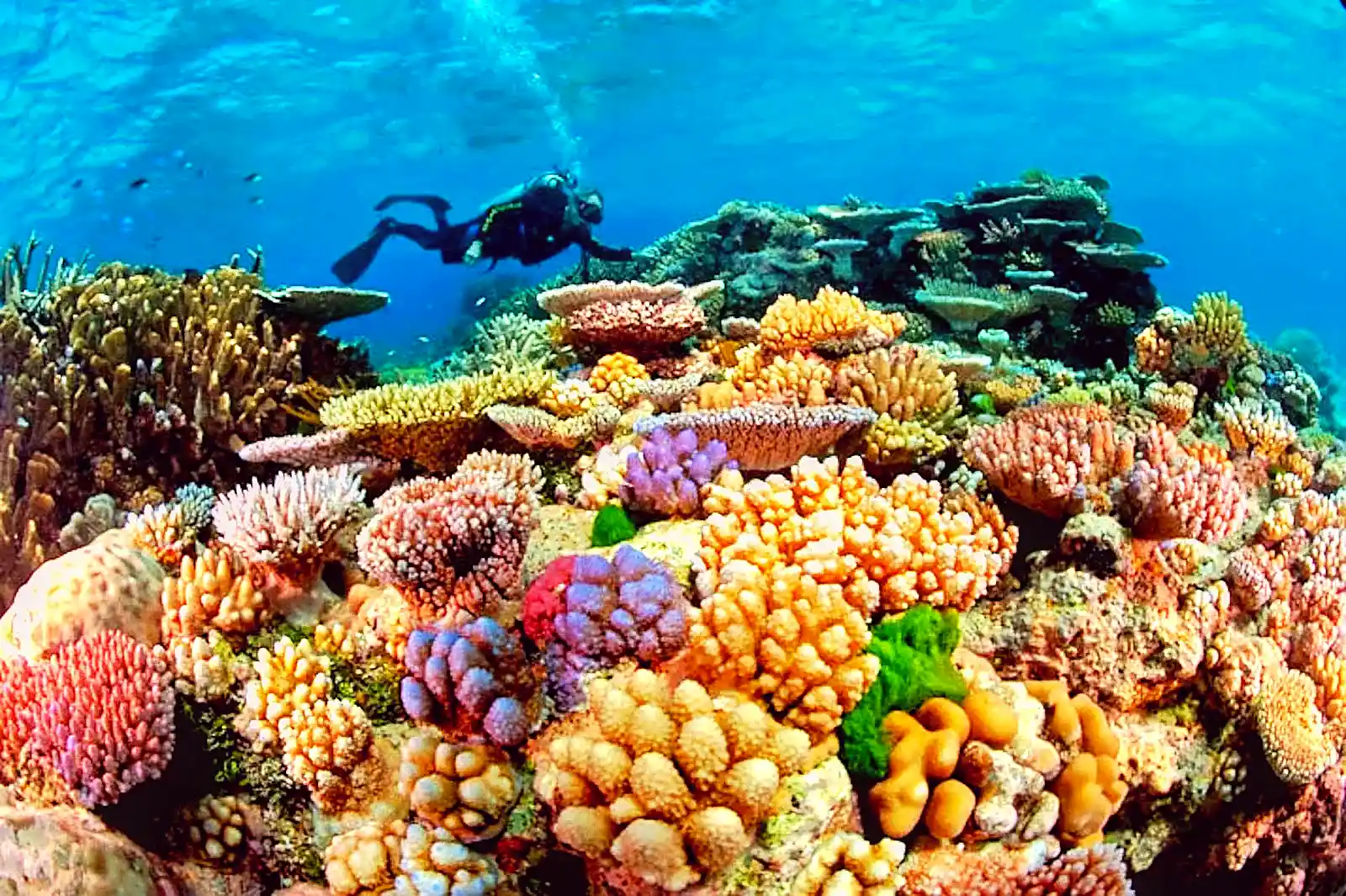 Australia travel
