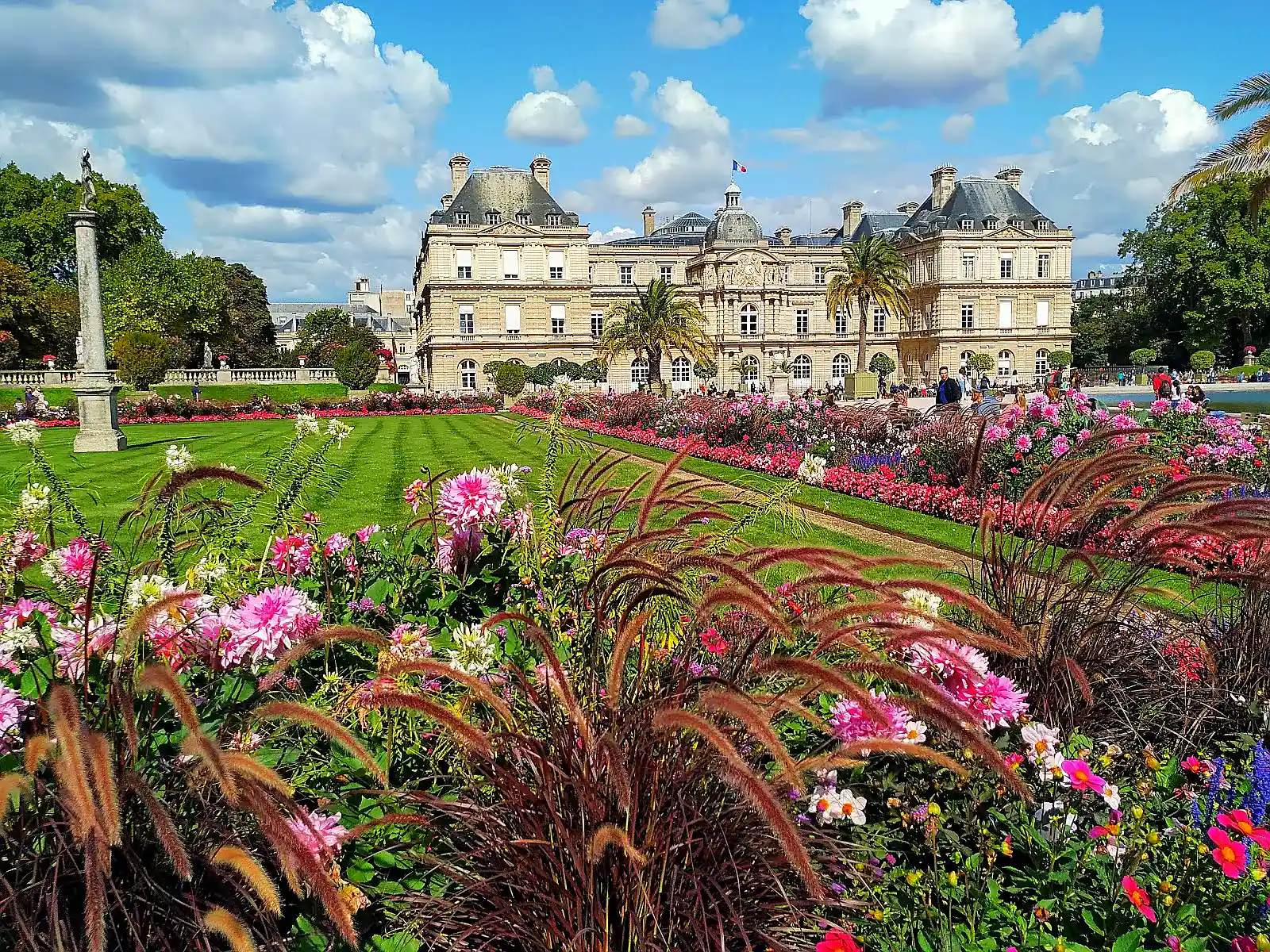 Bare trees and gravel paths in the Jardin du Luxembourg on a winter morning in Paris