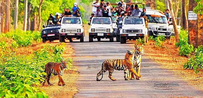 Uttarakhand travel