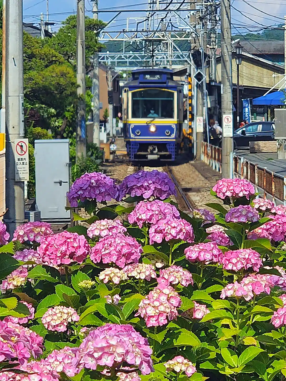 Kamakura near Tokyo, a typical stop travellers keep on their itinerary through Japan's September typhoon season