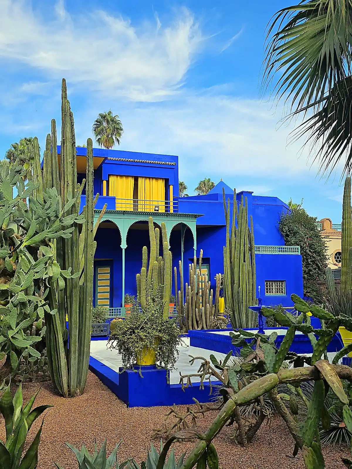 Cobalt blue walls and tropical garden of Majorelle Garden in Marrakech Morocco