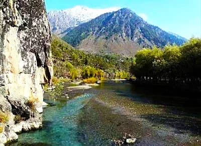 Green pine-covered valley at Pahalgam in Jammu and Kashmir, a key zone in any Kashmir trip plan