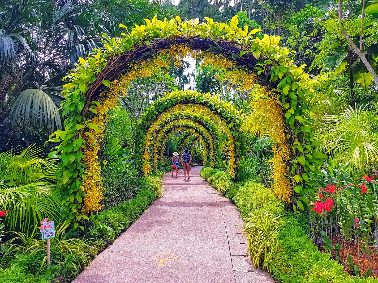 Singapore Botanic Gardens lush green landscape, a rest-day option on the singapore and malaysia itinerary