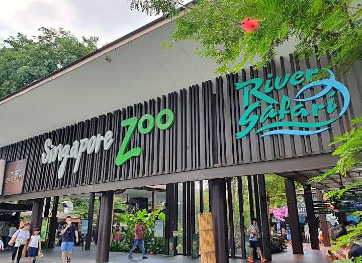 Singapore Zoo enclosure at dusk, a local family evening spot beyond the tourist trail