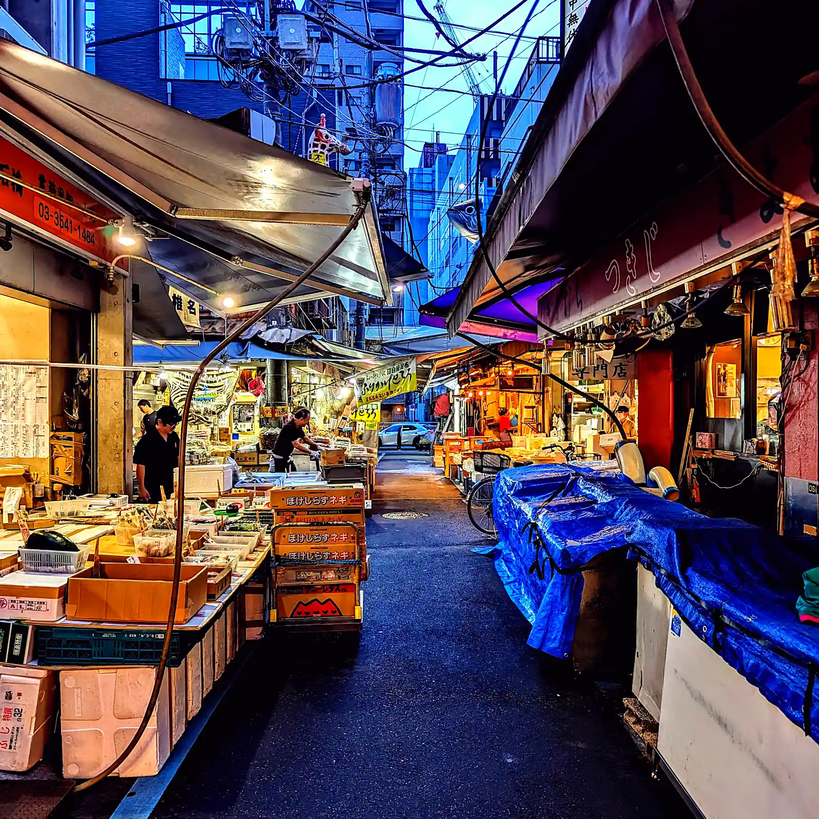 Crowded food stalls and shoppers in Tokyo's Tsukiji Outer Market