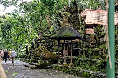 Stone gateway and forest path at the Ubud Monkey Forest sanctuary in Bali