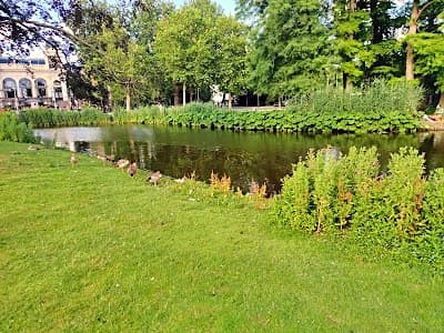 Vondelpark in Amsterdam, a central neighbourhood affected by the short-term rental night cap
