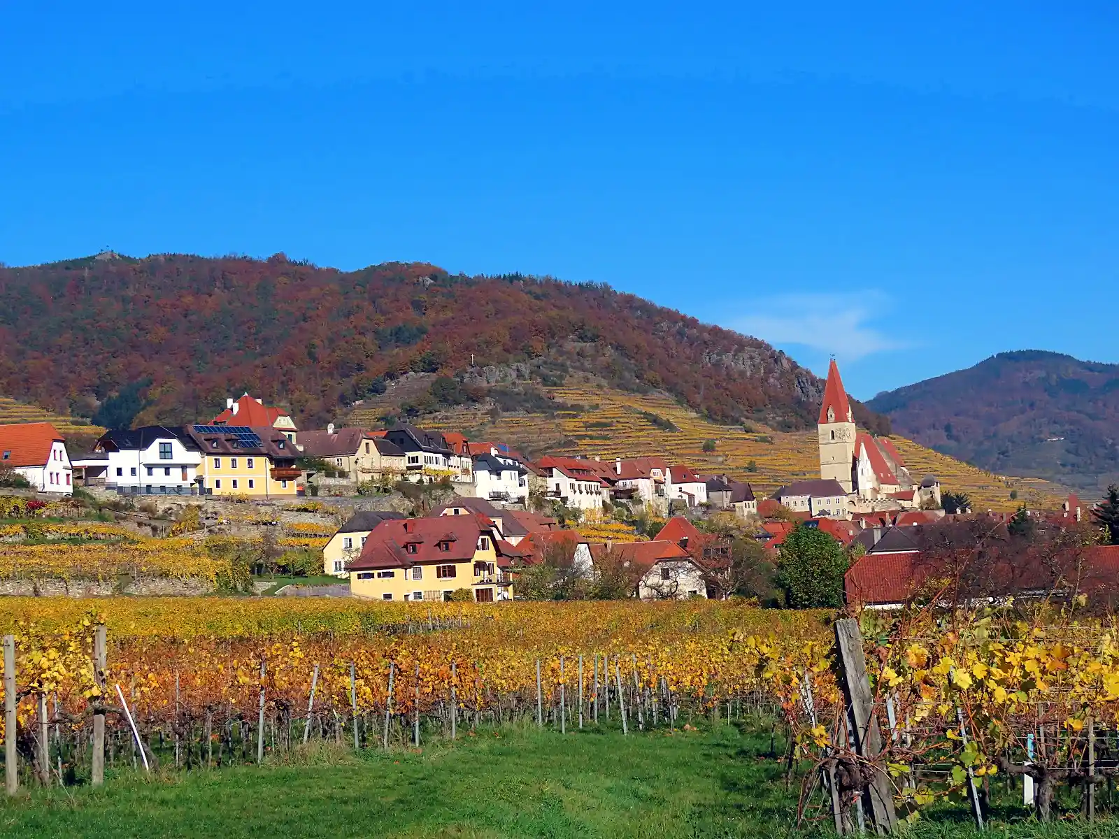 Vineyard terraces along the Danube in the Wachau Valley near Vienna, a popular local day trip destination