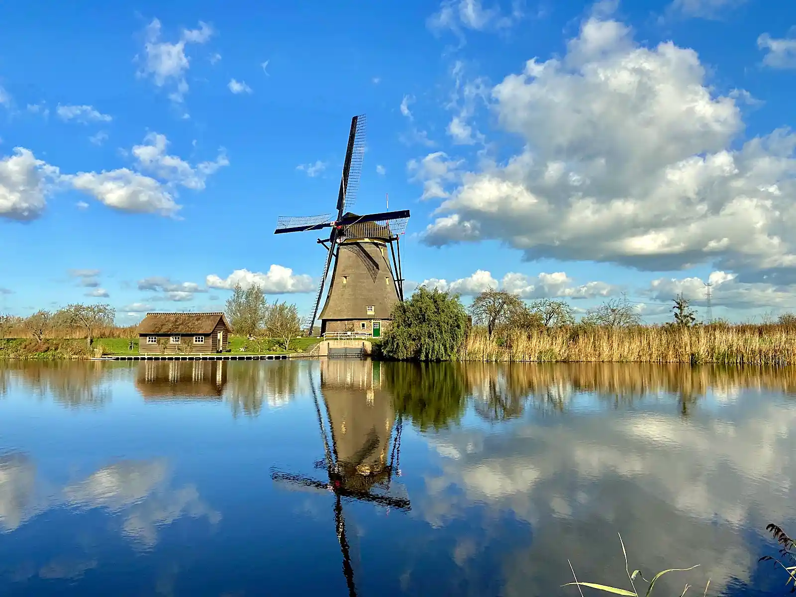 Historic windmills lined along the canal at Kinderdijk, a year-round day trip from Amsterdam
