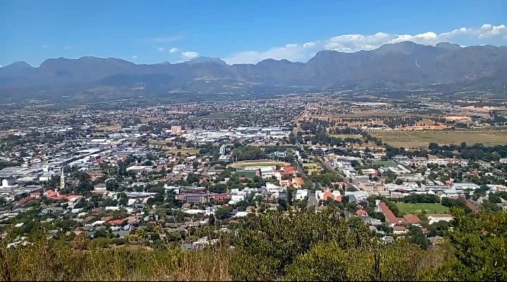 Vineyard rows in the Cape Winelands beyond Stellenbosch, South Africa